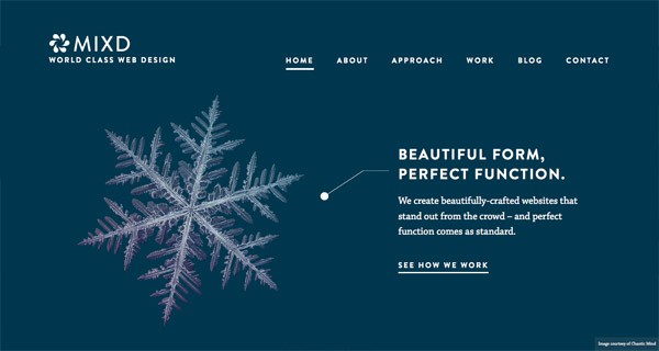 大道至簡！欣賞18款極簡設計風格的網(wǎng)站(圖11)